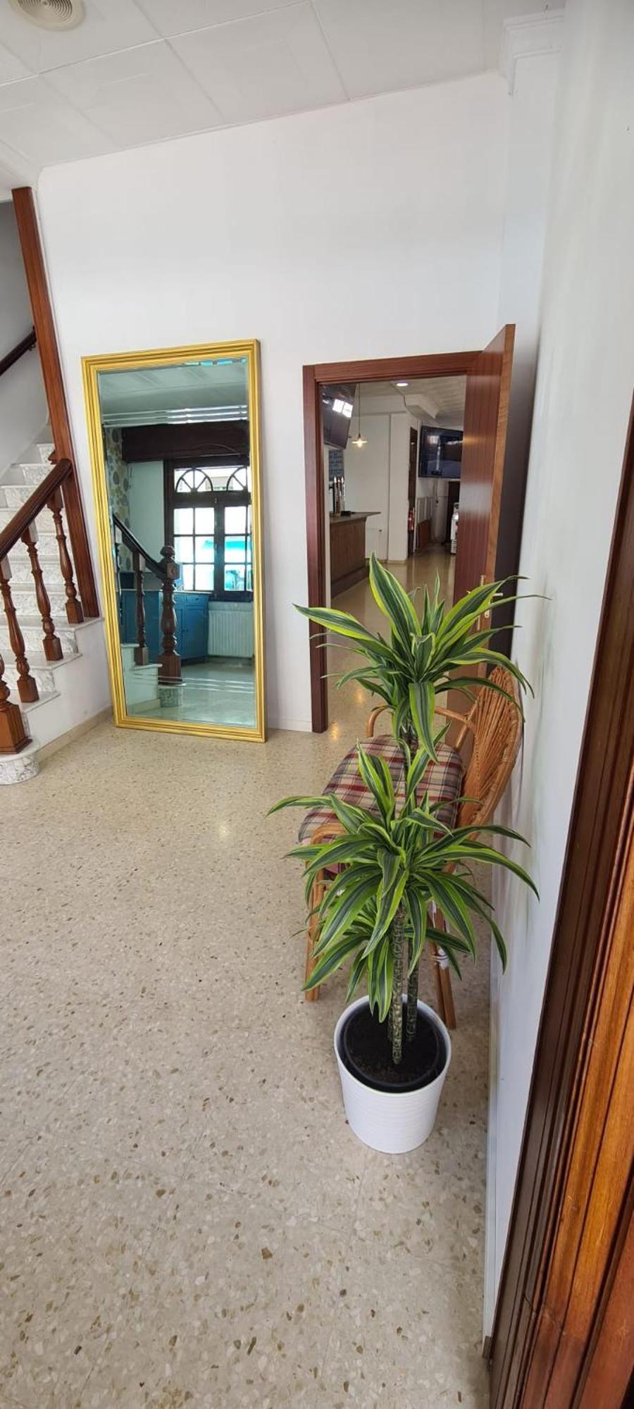 Hotel Nuevo Julios By Olda Ribadumia Dış mekan fotoğraf
